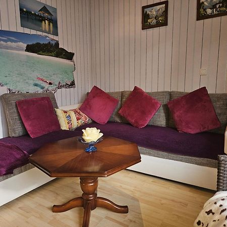 Landhauswohnung Am Thueringer Meer - Fuehlen Wie Zuhause Remptendorf エクステリア 写真
