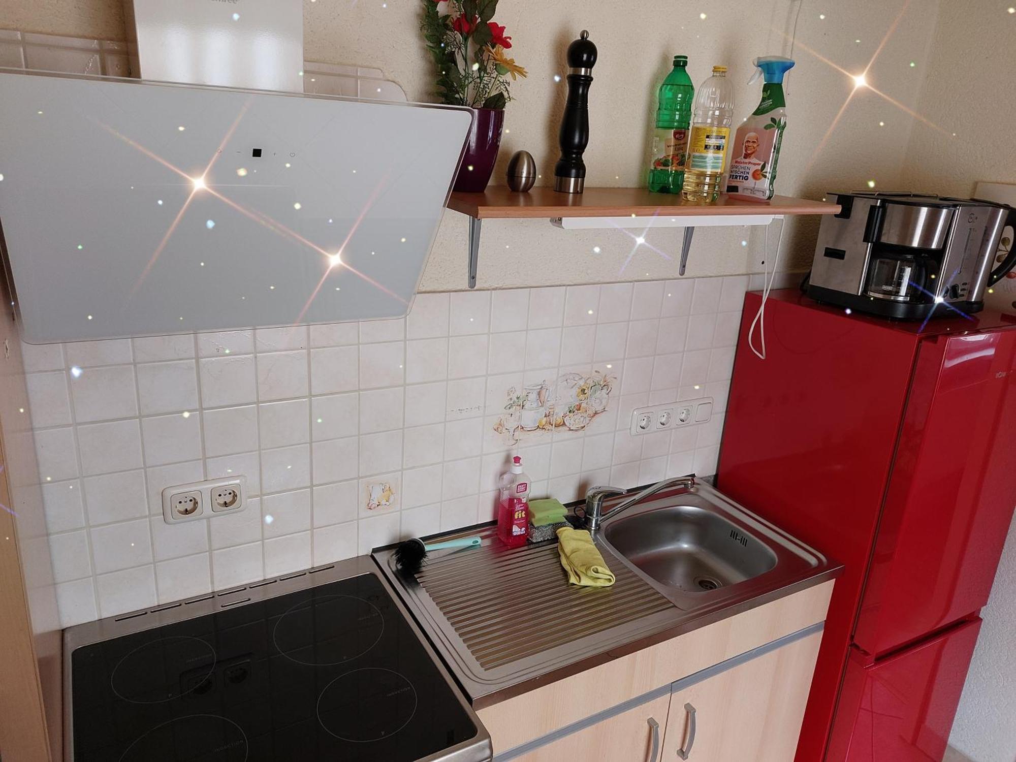 Landhauswohnung Am Thueringer Meer - Fuehlen Wie Zuhause Remptendorf エクステリア 写真